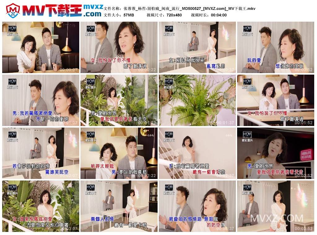 张蓉蓉_杨哲-别怕痛_闽南_流行_MD500527